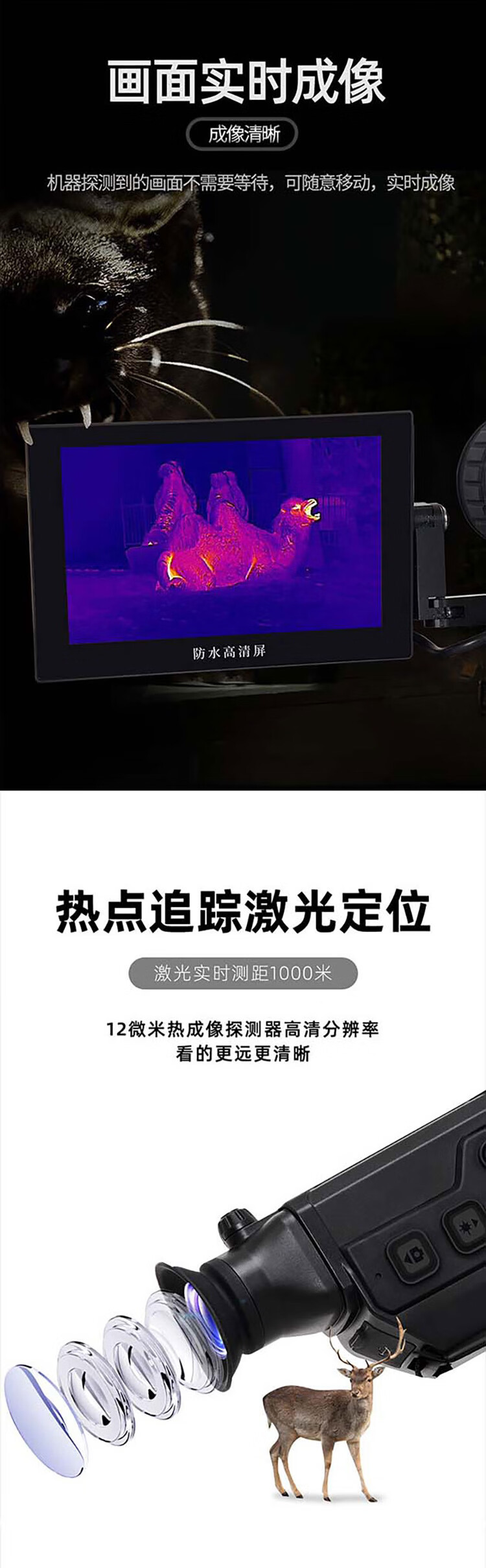 1787900336165297.jpg